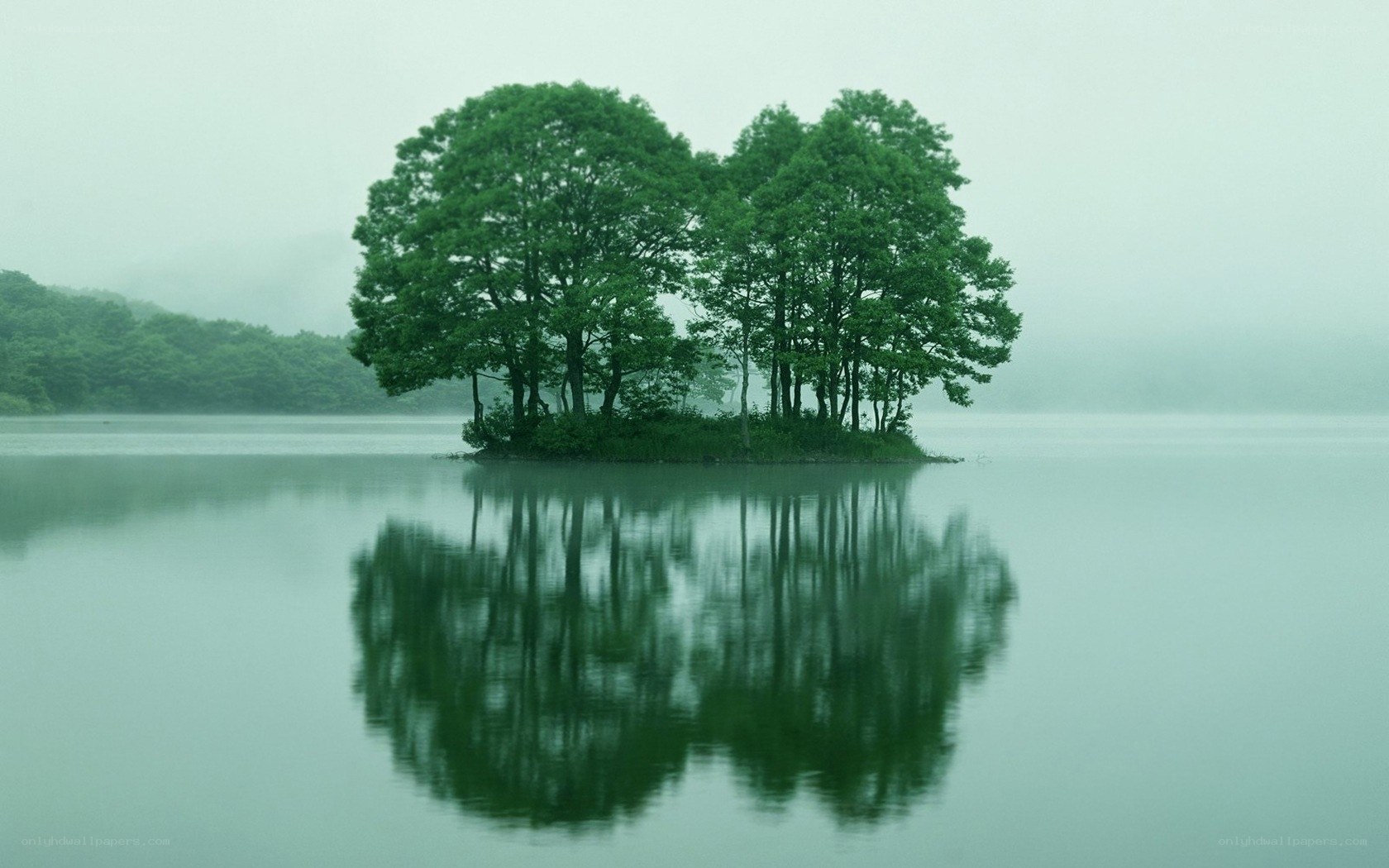 Island with trees in mist