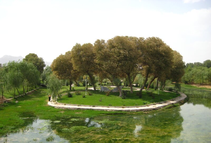 Island with Trees in Park