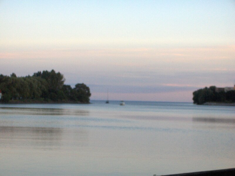Island with Trees in Water