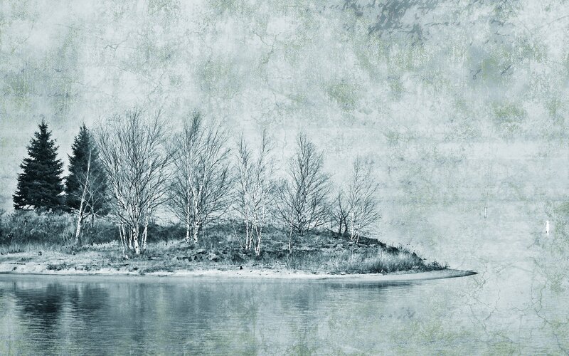 Island with trees in winter