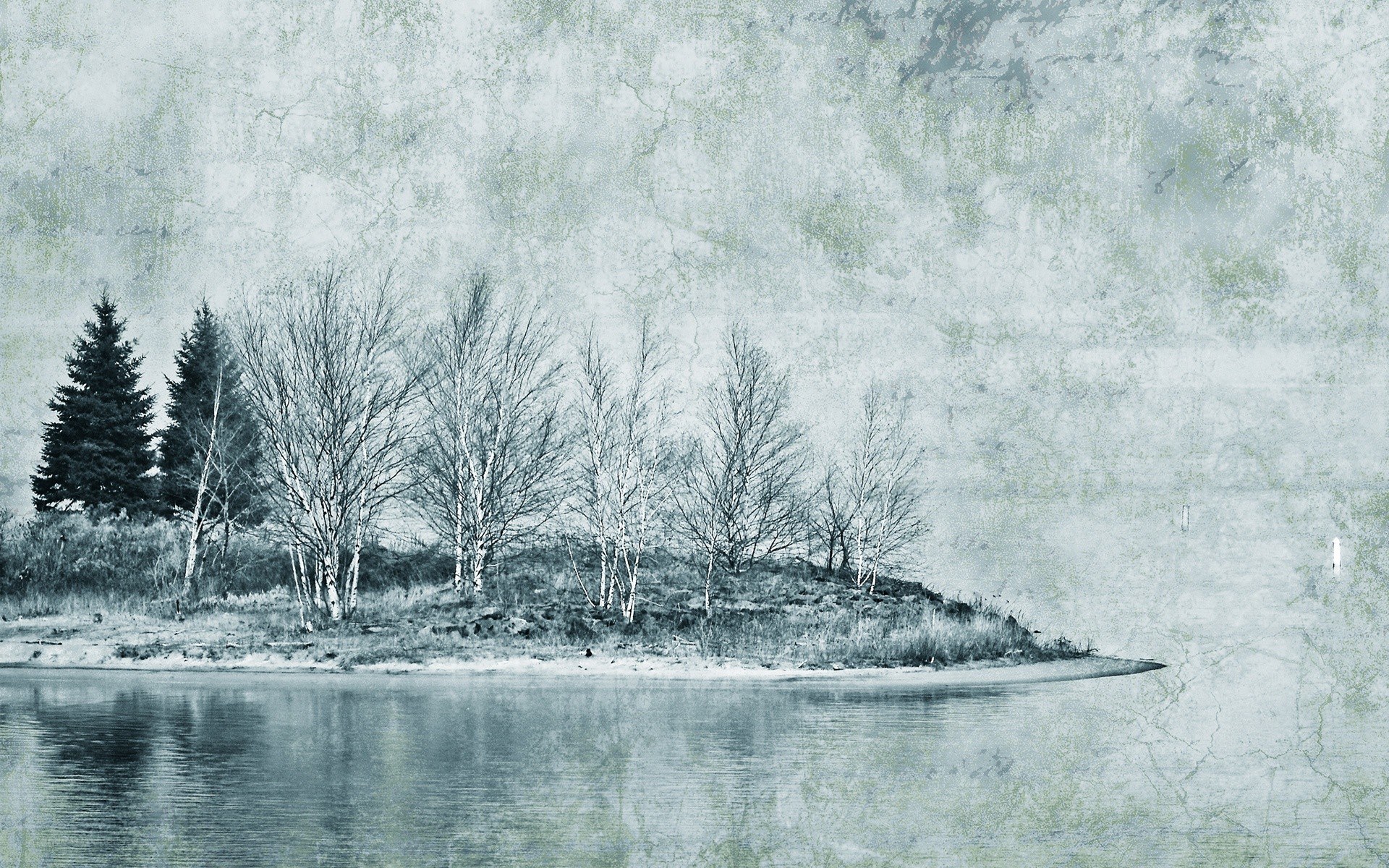 Island with trees in winter