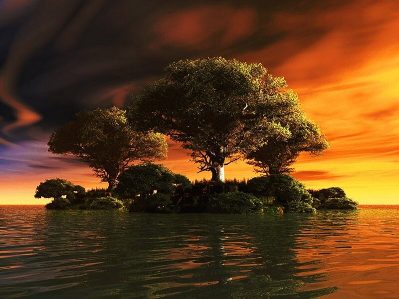 Island with Trees — Orange