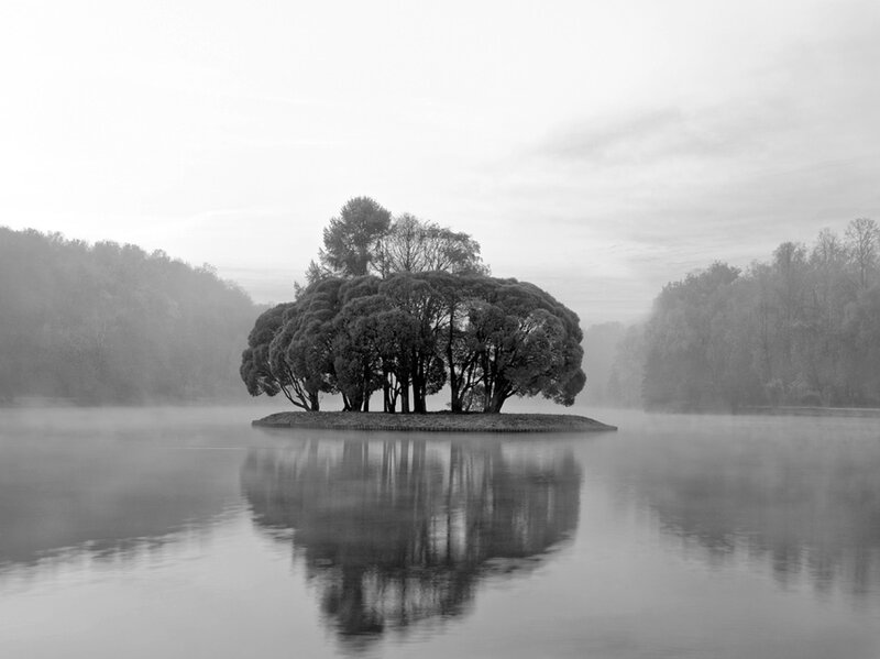 Island with Trees