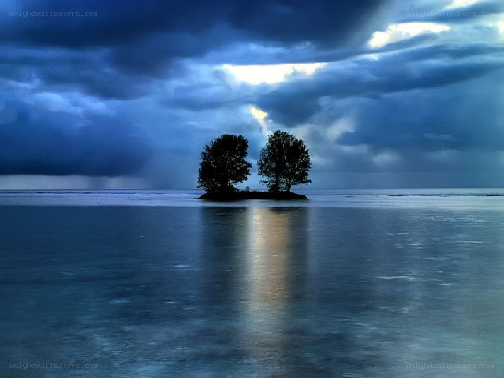 Island with two trees at dusk