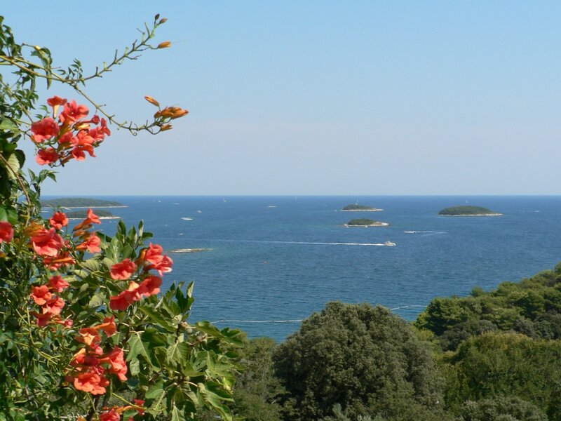 Islands and flowers by the sea