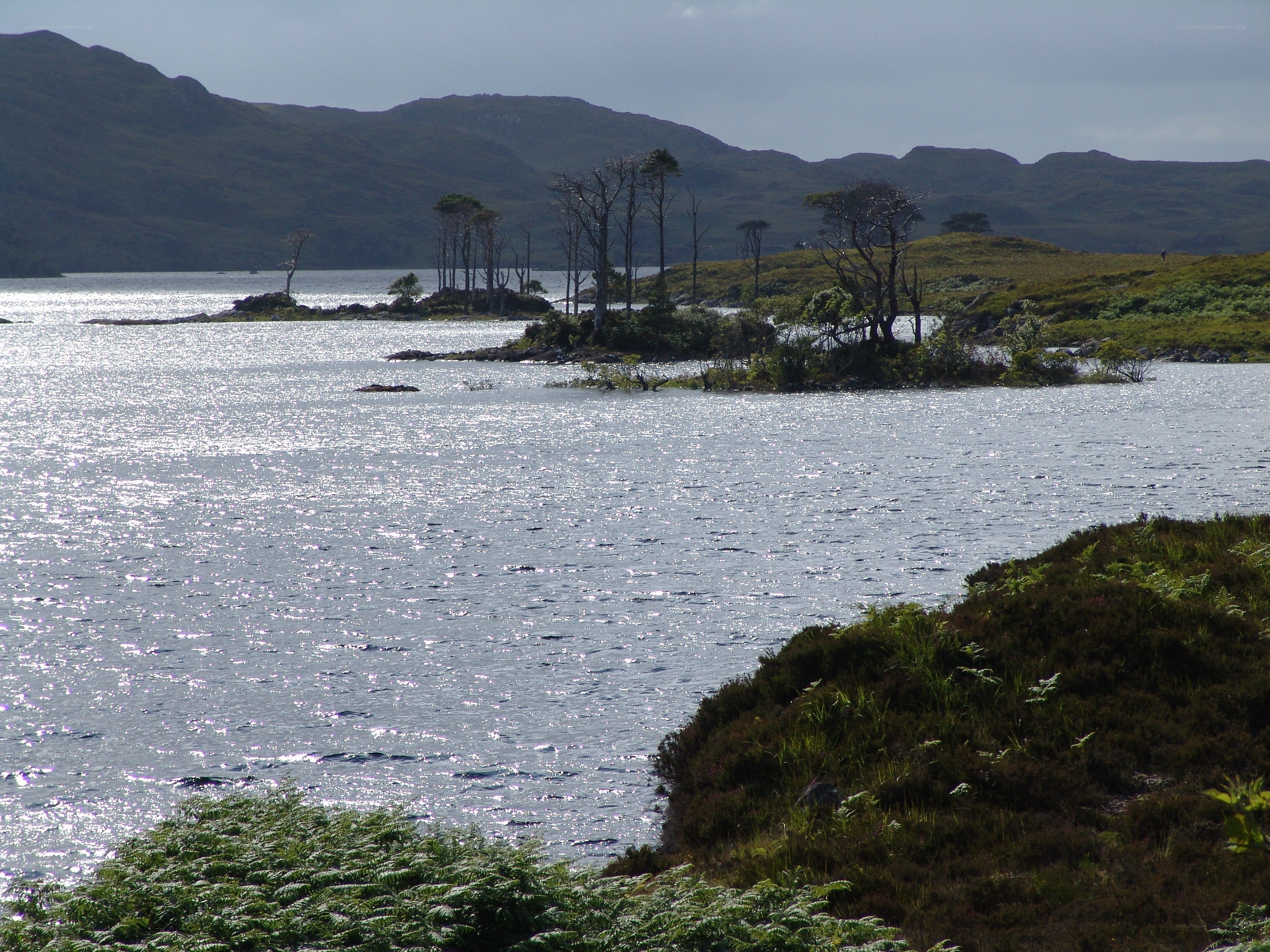 Islands in a Scottish loch