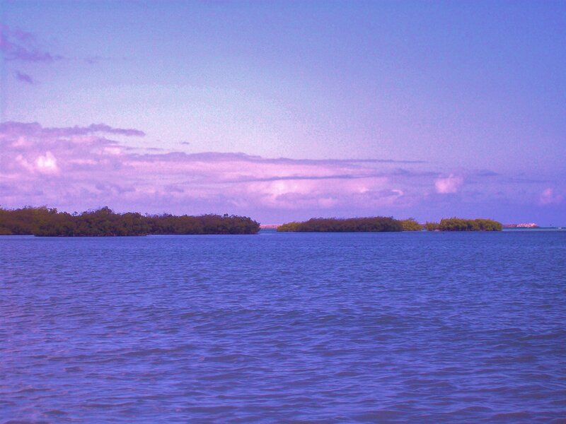 Islands in Purple Water