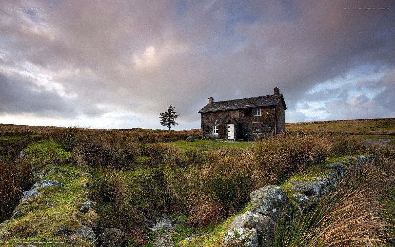 Isolated cottage on a moor