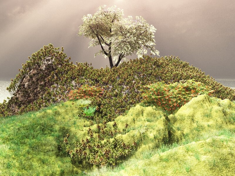 Isolated Island with Tree