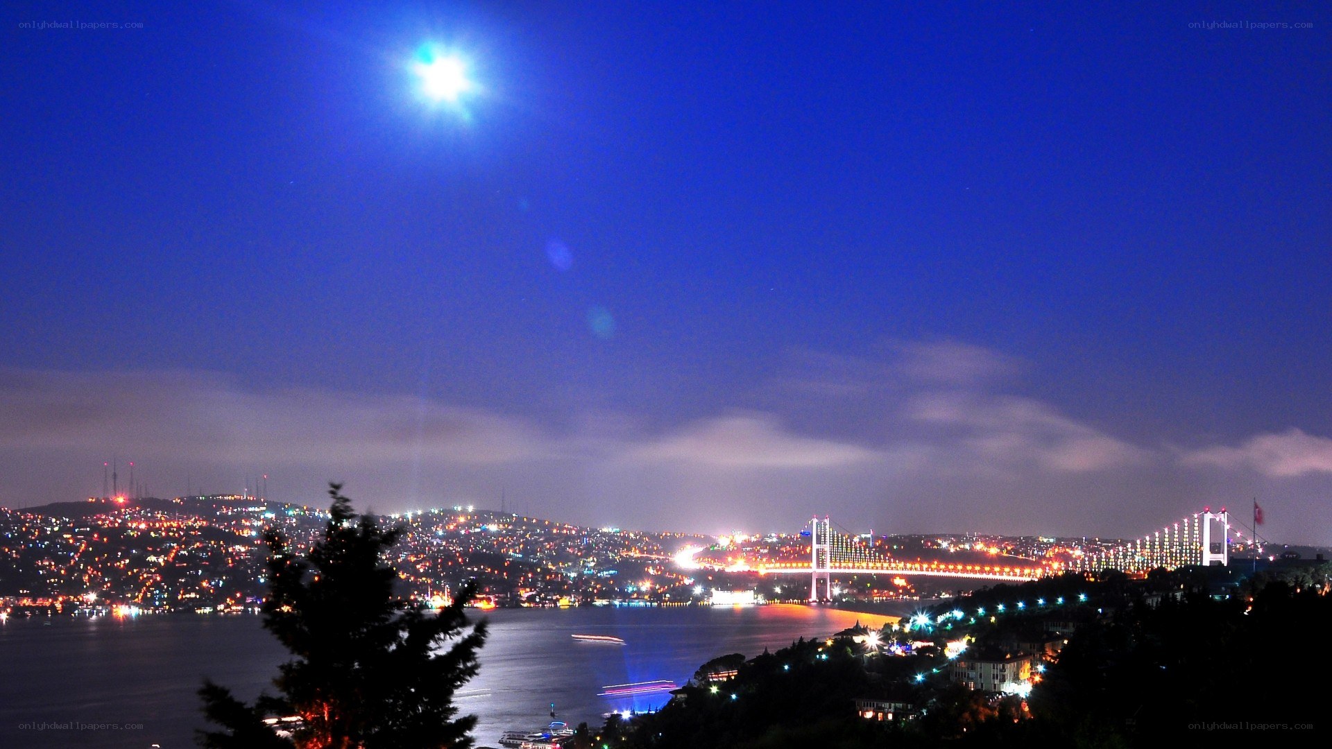 Istanbul at night with Bosphorus Bridge