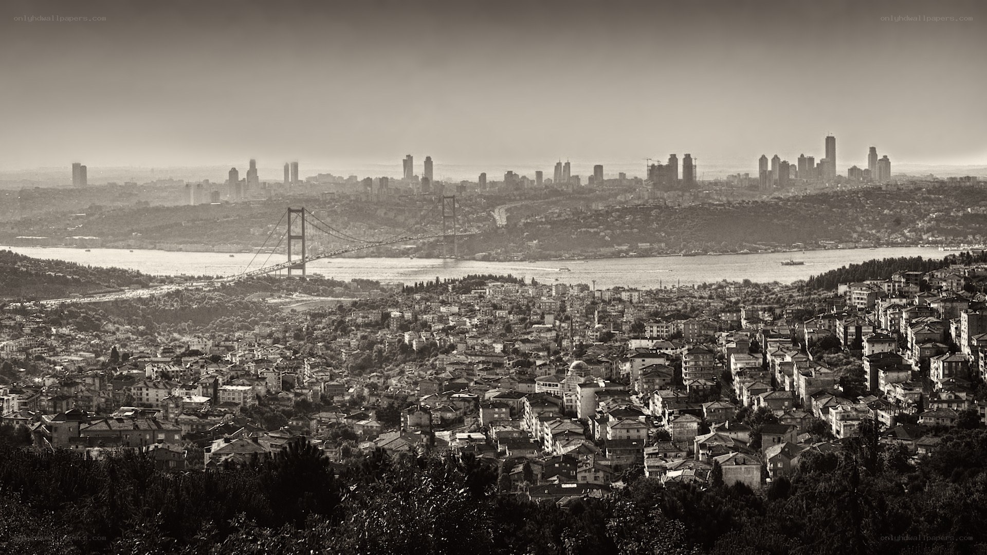 Istanbul cityscape with Bosphorus Bridge