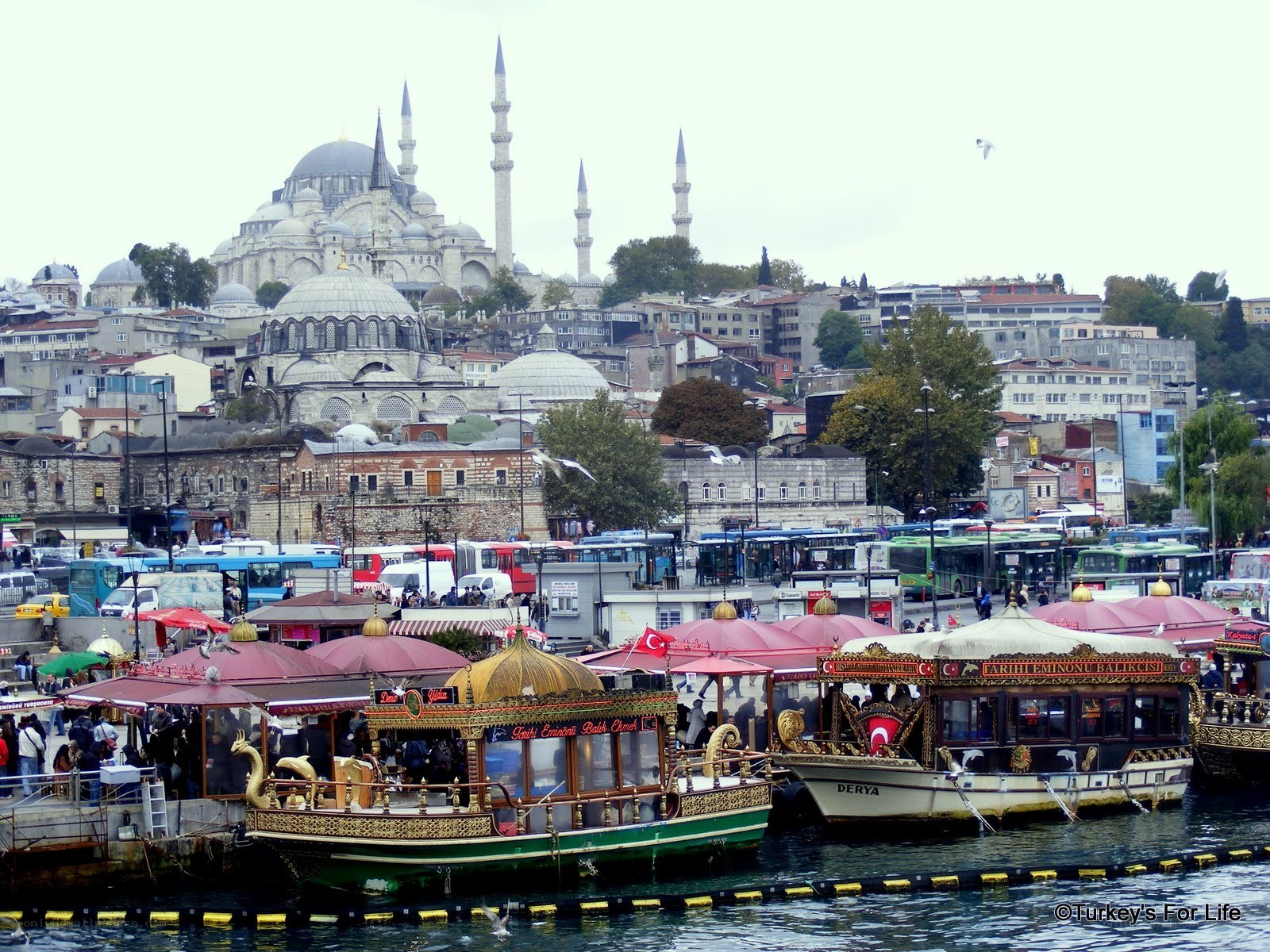 Istanbul harbor with mosques