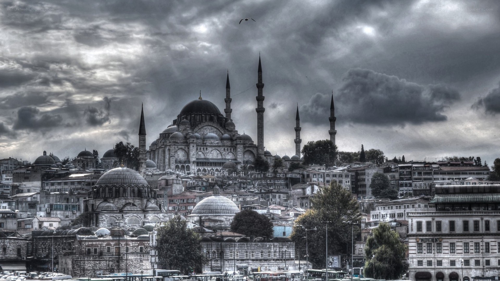 Istanbul skyline with mosque