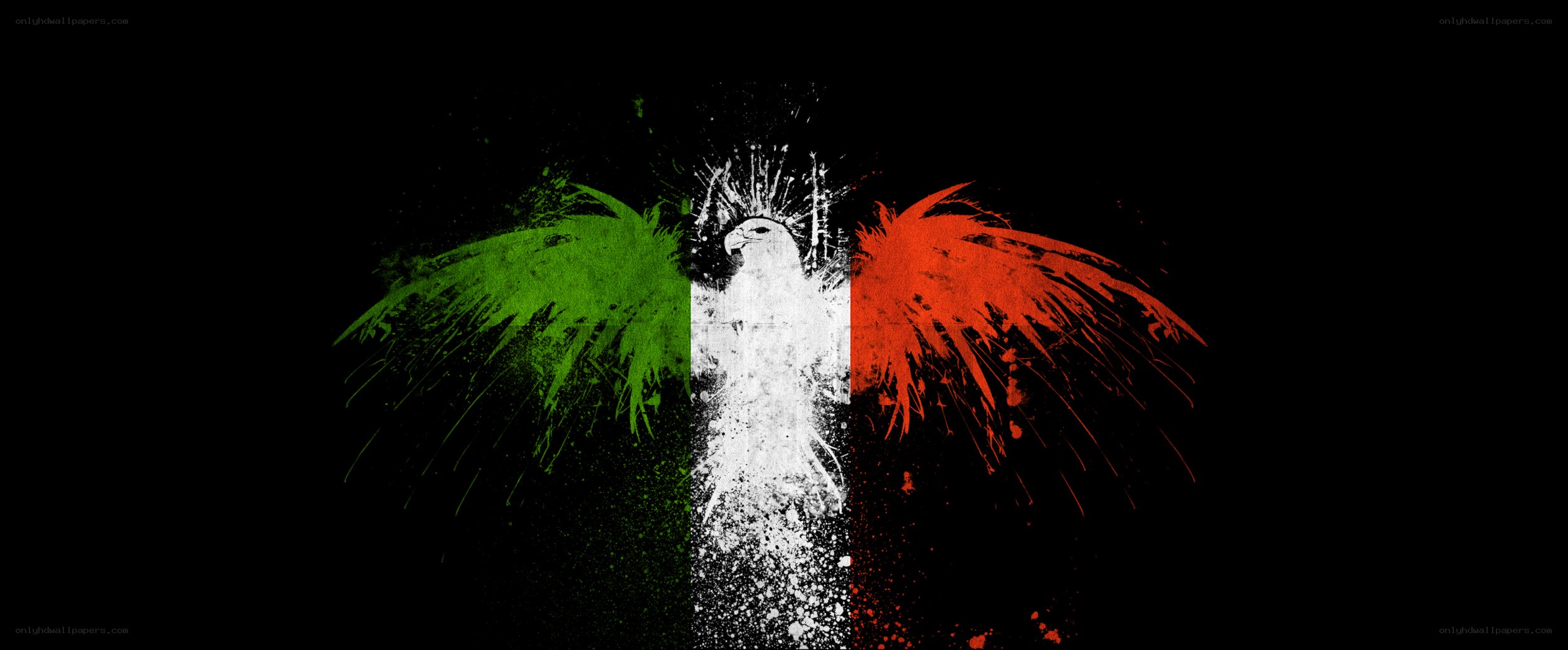 Italian flag eagle design