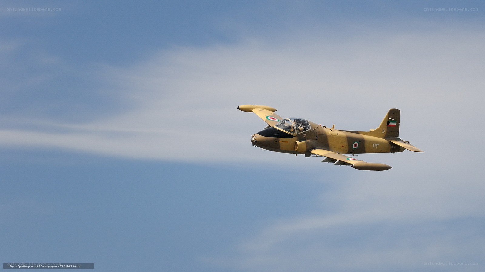 Italian jet in flight