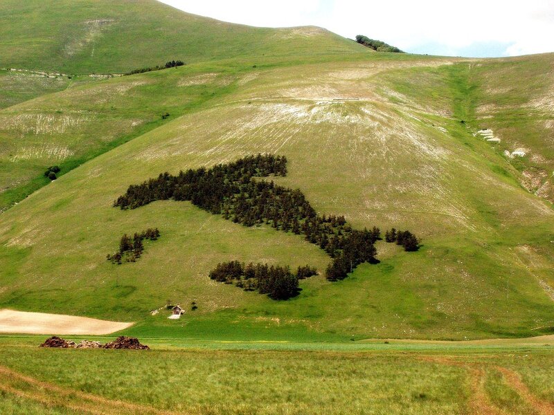Italy-shaped tree formation on a hill