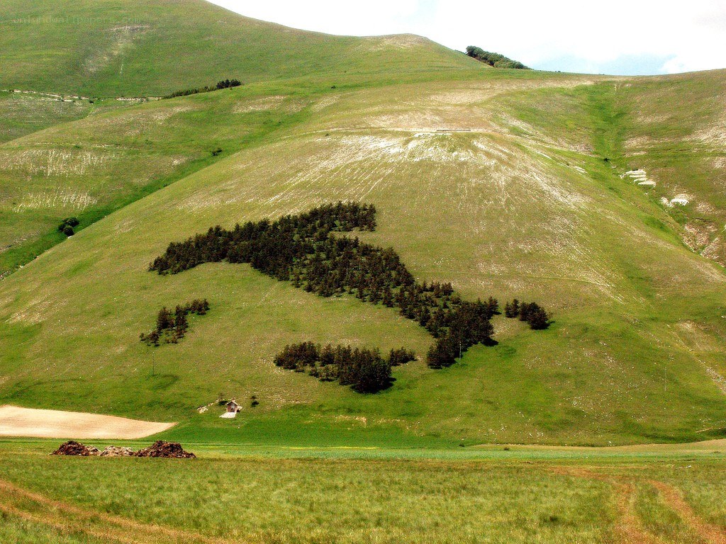 Italy-shaped tree formation on a hill