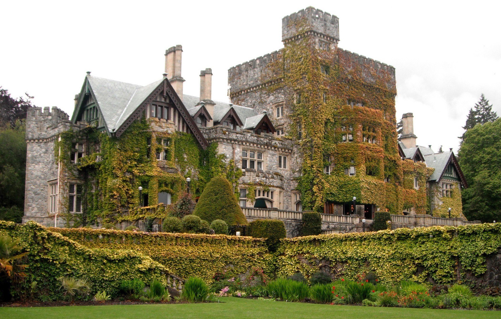 ivied castle in a garden