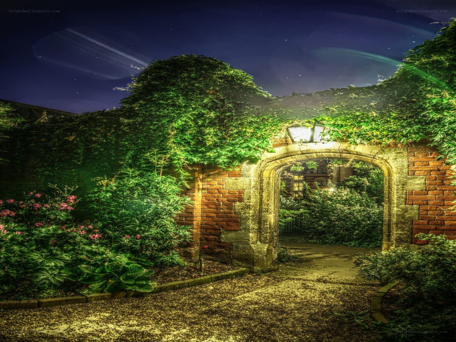 Ivy-covered archway at night