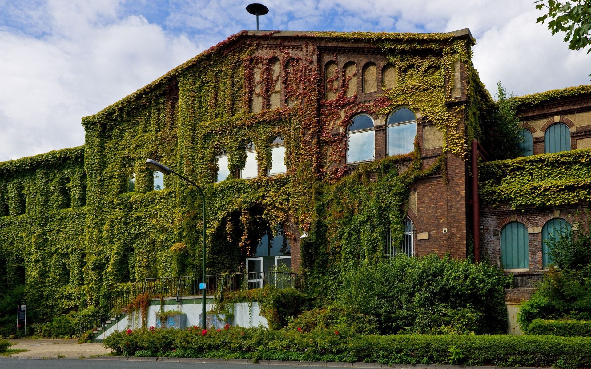 Ivy-covered brick building