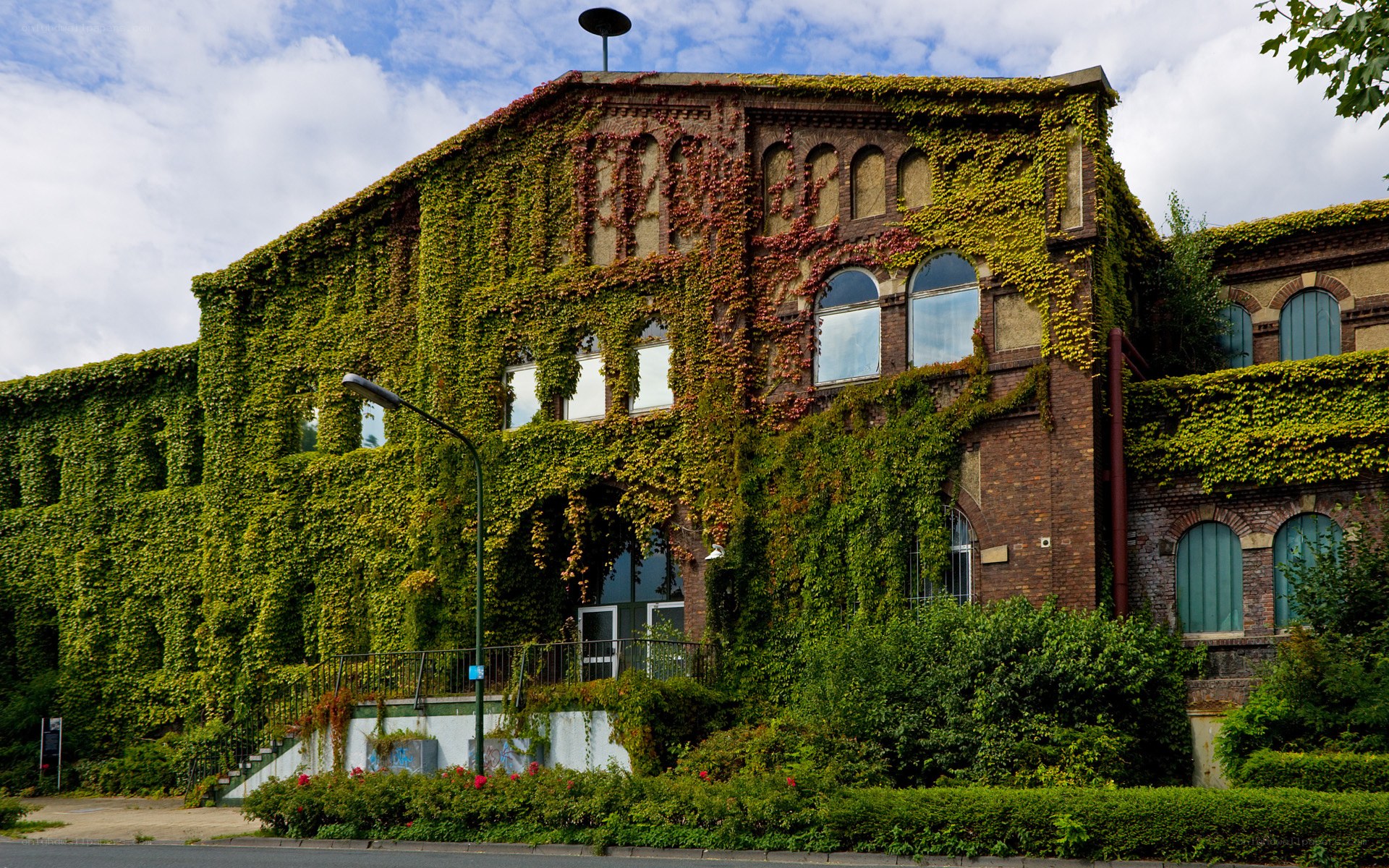 Ivy-covered brick building