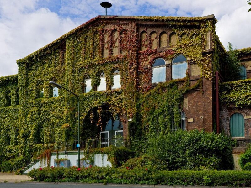 Ivy-covered Brick Building — Green