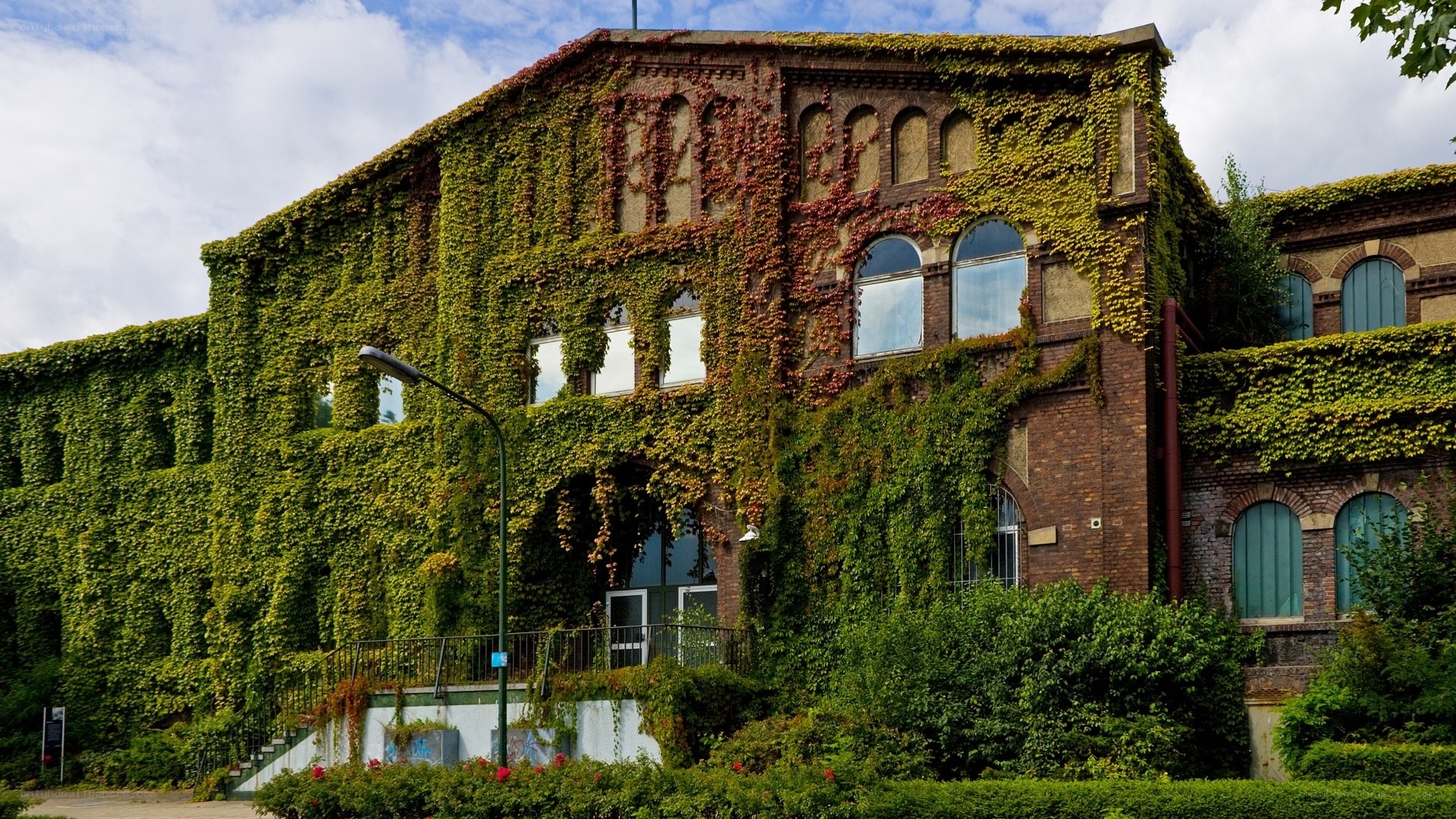 Ivy-covered brick building