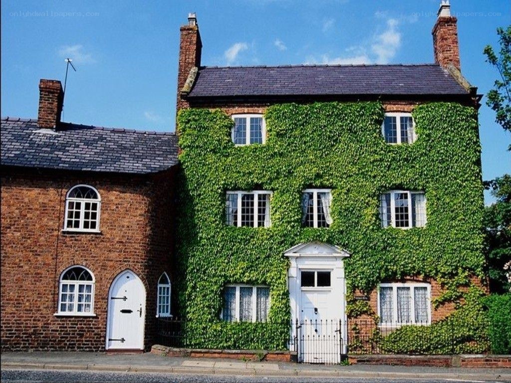 Ivy-covered brick house