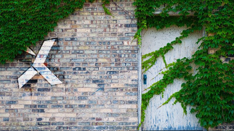 ivy-covered brick wall with graffiti