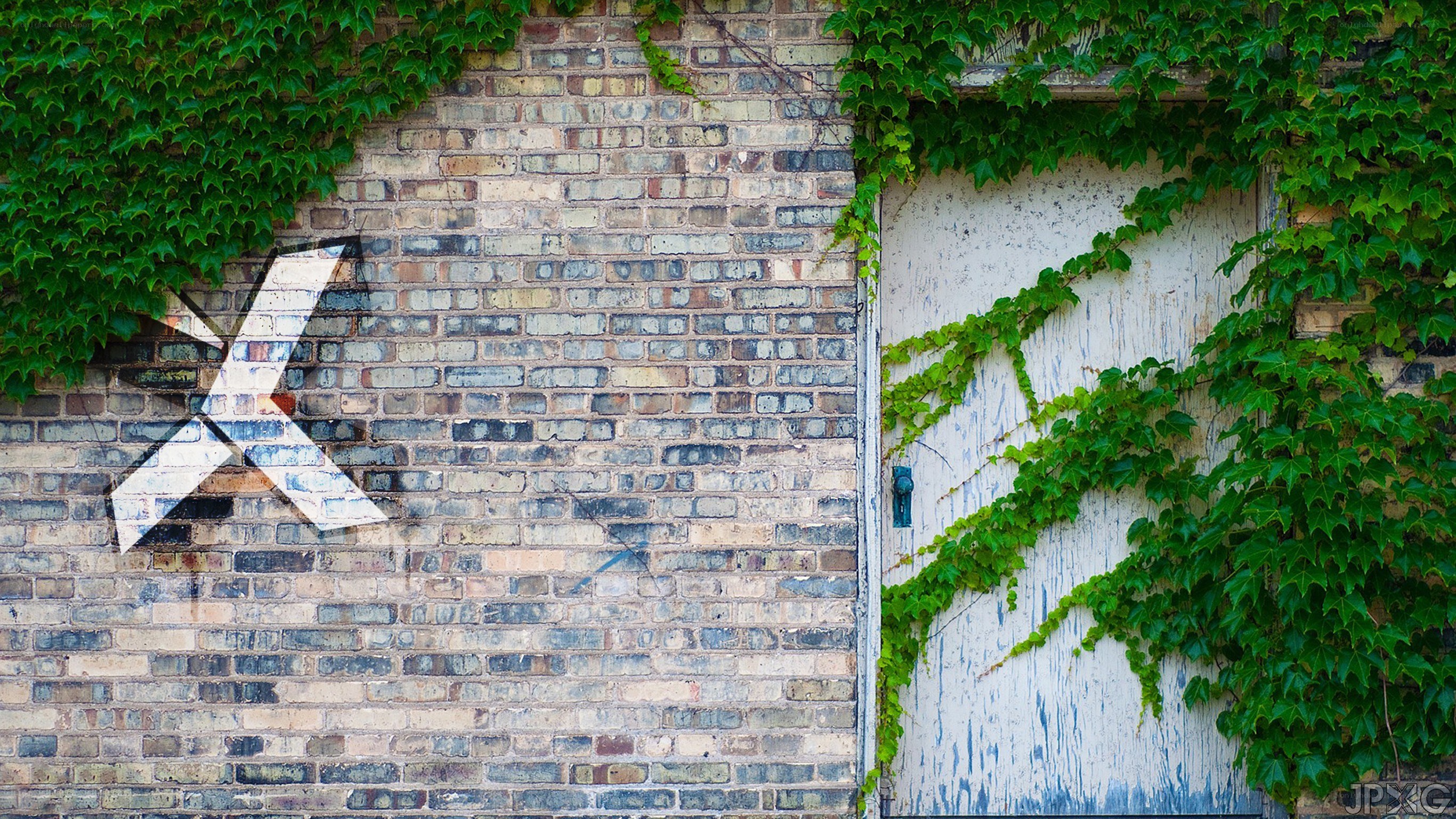 ivy-covered brick wall with graffiti