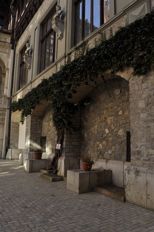 Ivy-covered building archway