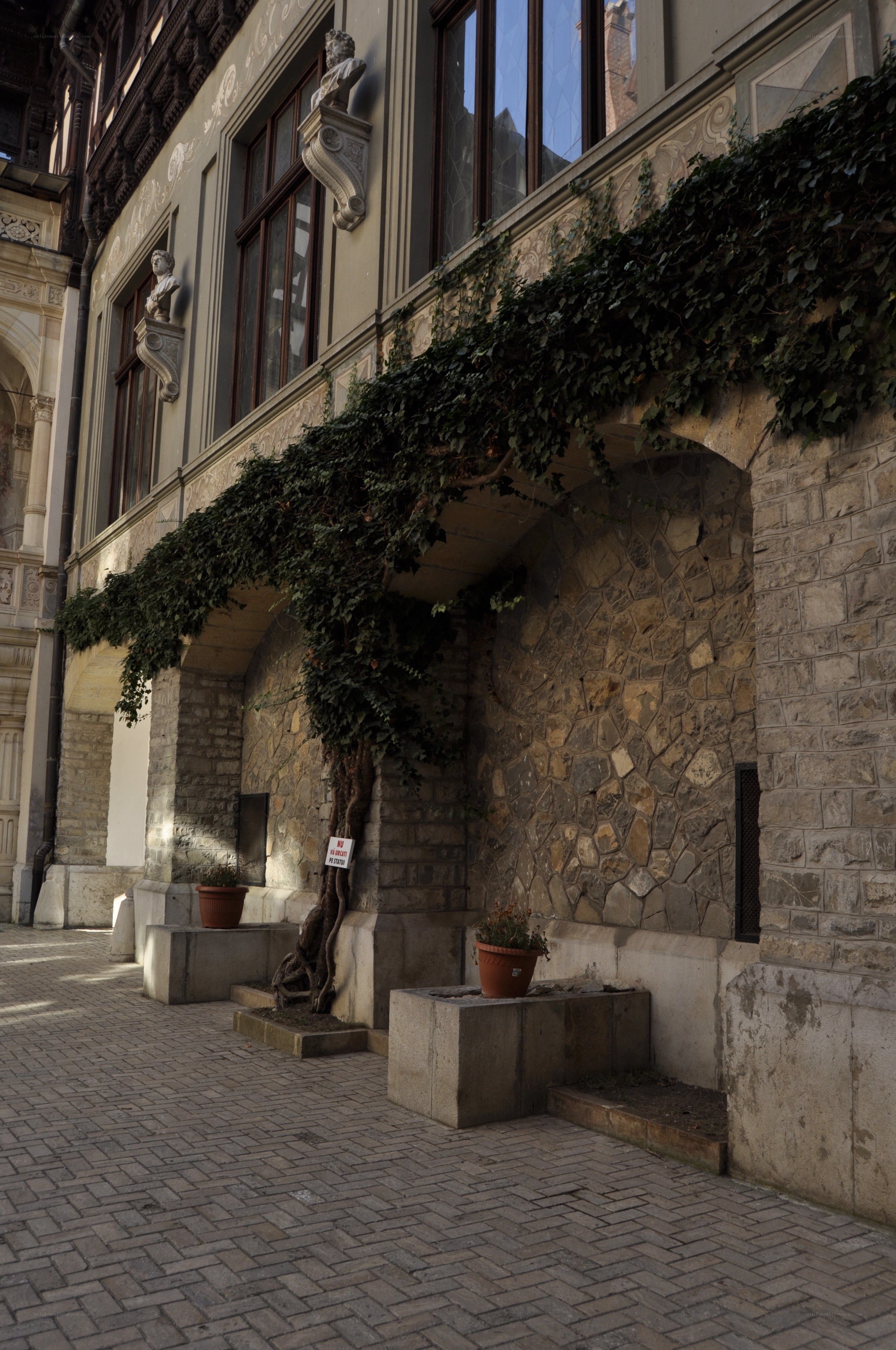 Ivy-covered building archway