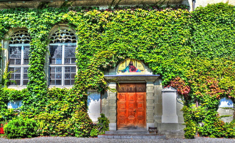 Ivy-covered Building Entrance