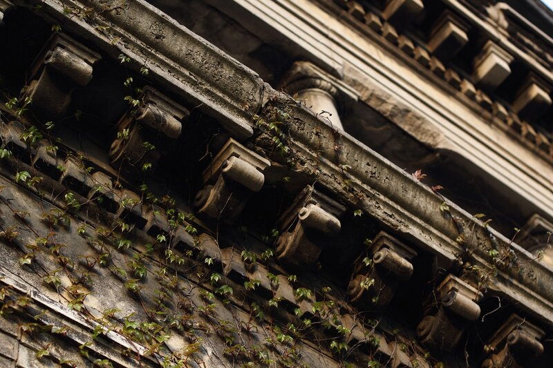 ivy-covered building facade