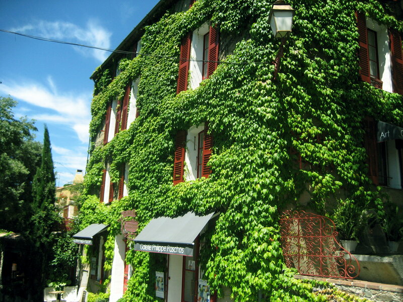 Ivy-covered Building — Green