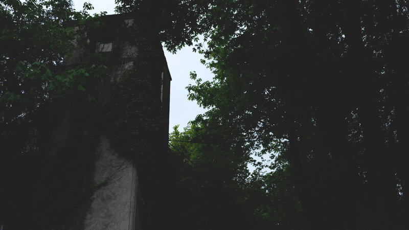 Ivy-covered Building Tower