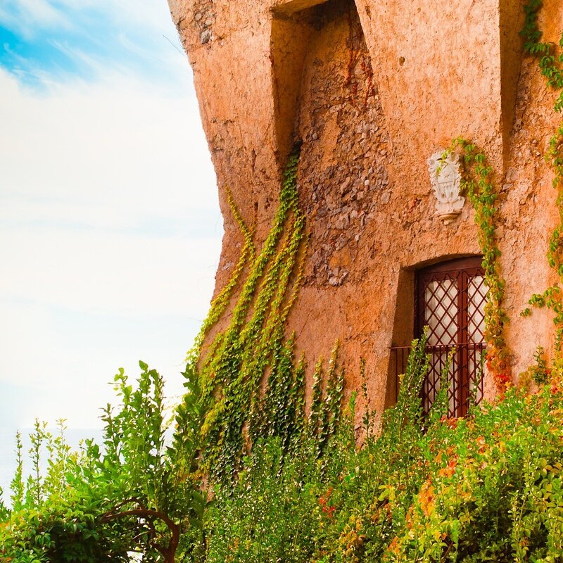 Ivy-covered Building Wall — Green