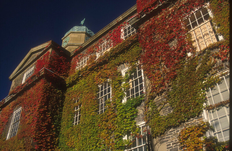 Ivy-covered building with clock tower