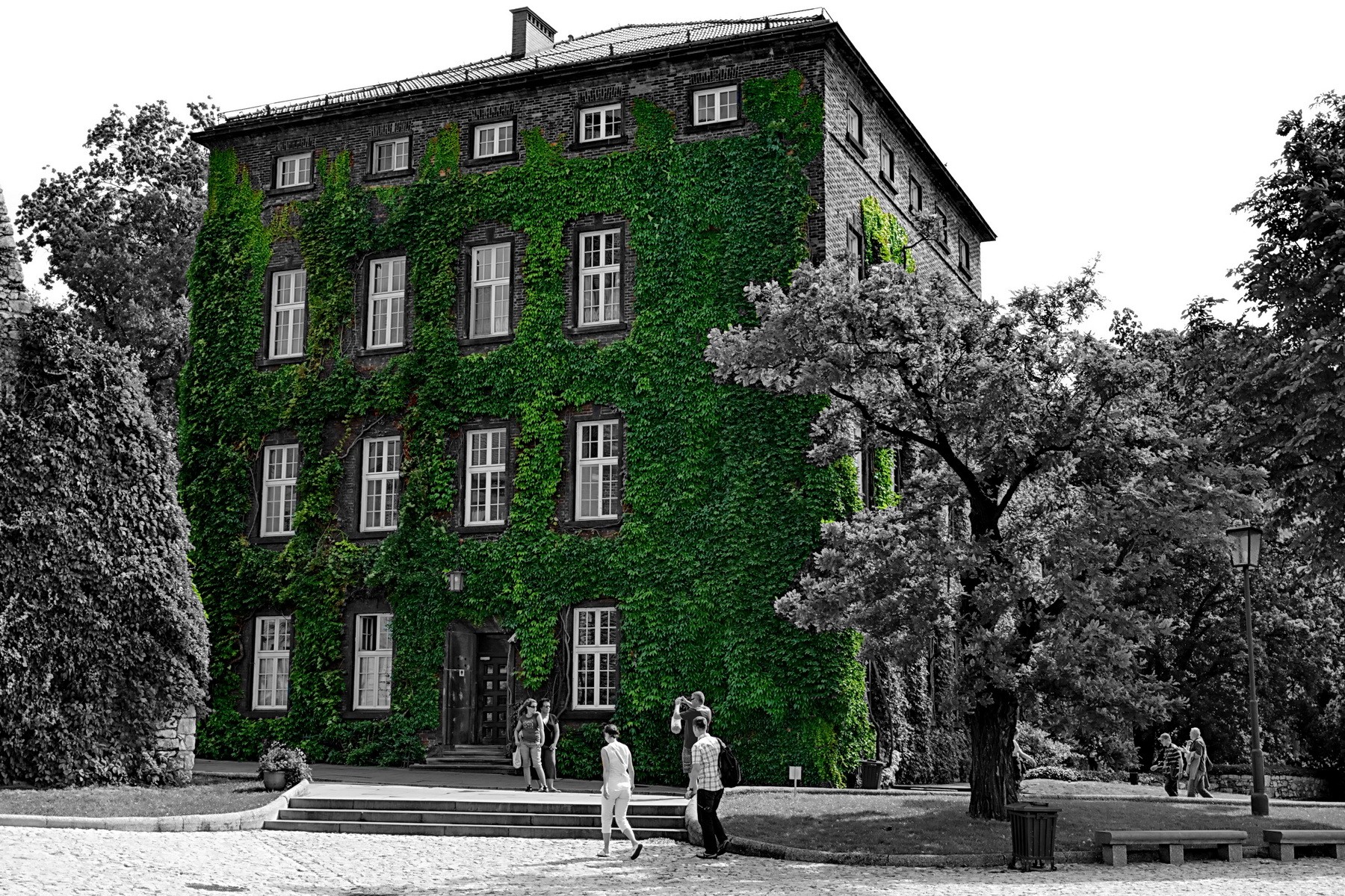 Ivy-covered building with visitors