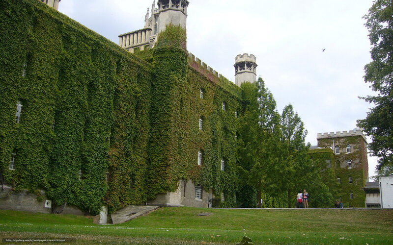Ivy-covered Castle Building — Green, Serene