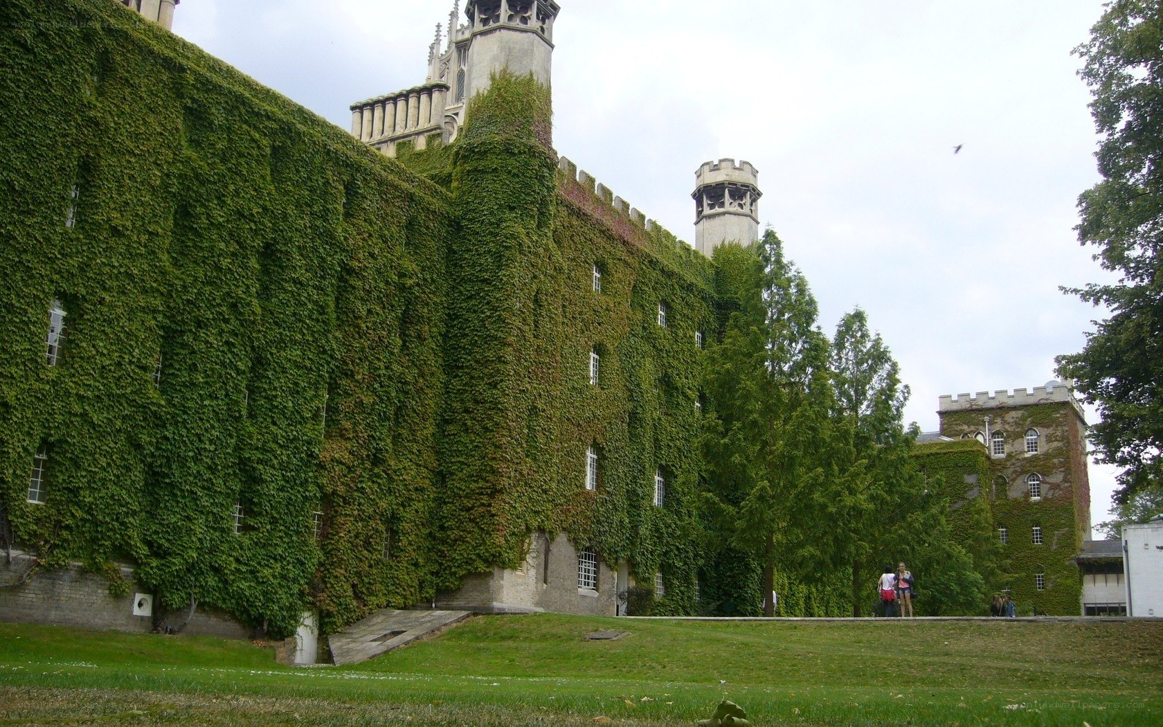 Ivy-covered castle building