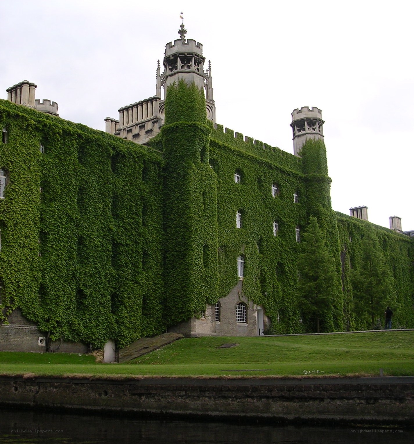 Ivy-covered castle by the river