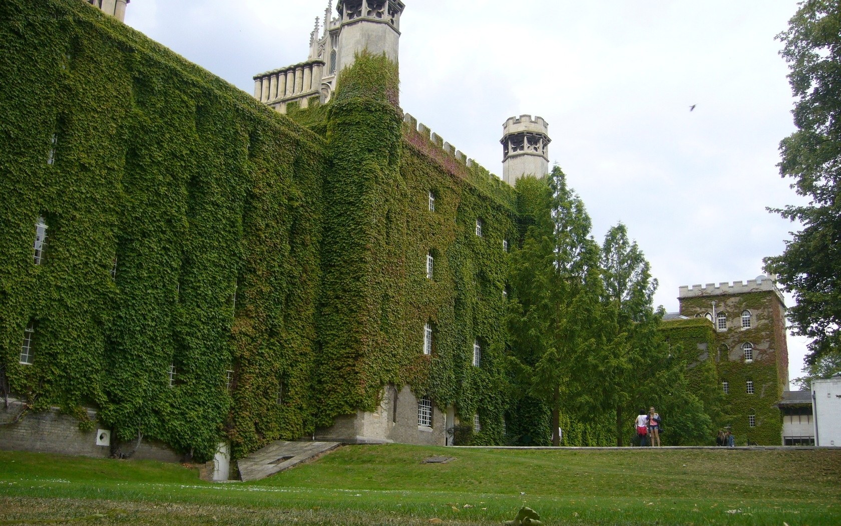 Ivy-covered castle walls