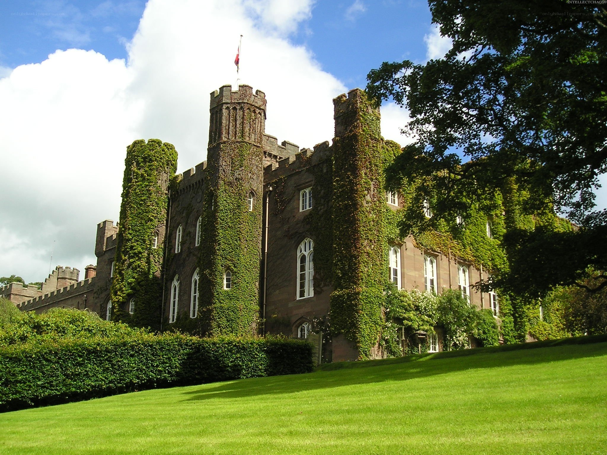 Ivy-covered castle with flag
