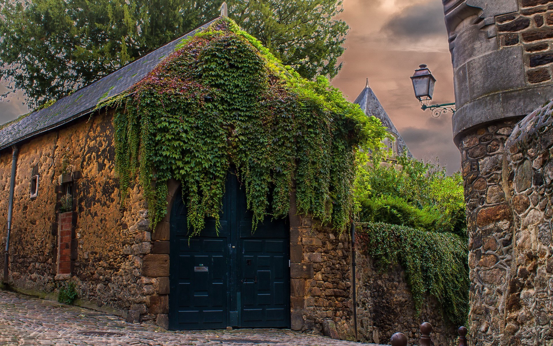 Ivy-covered cottage in old town