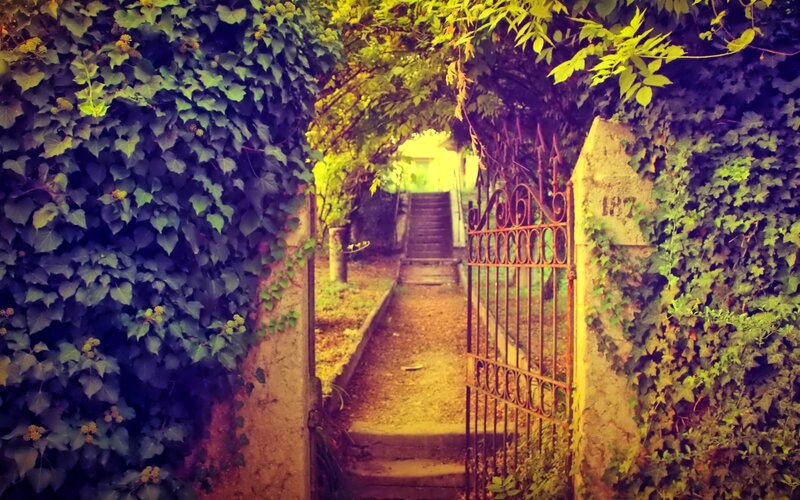 Ivy-covered Garden Gate — Green
