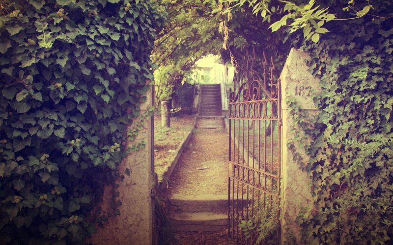 Ivy-covered garden gate