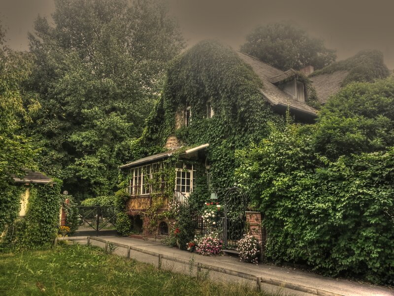 Ivy-covered House — Green, Misty