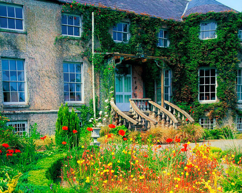 Ivy-covered House — Green, Serene, Summer