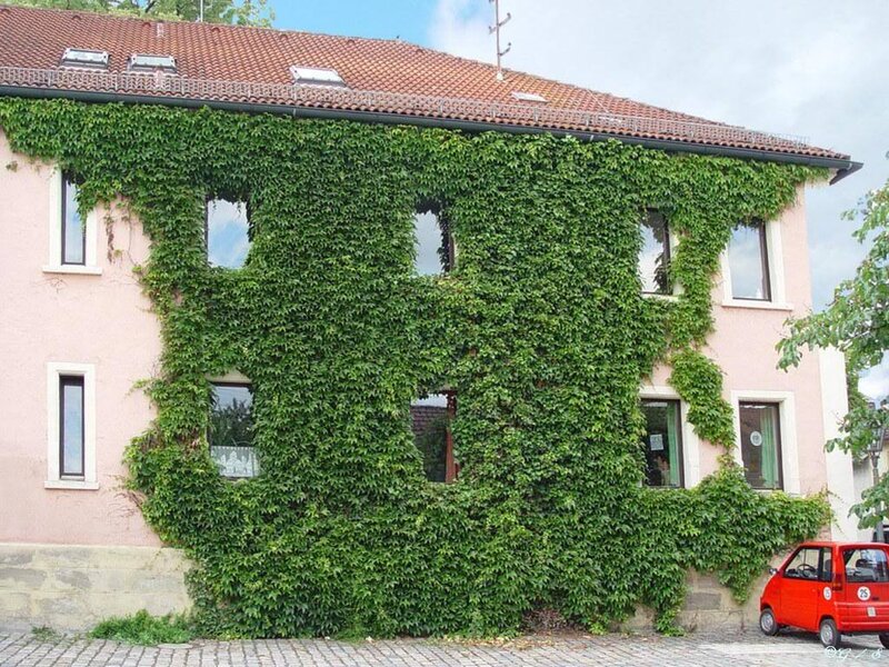 Ivy-covered house with car